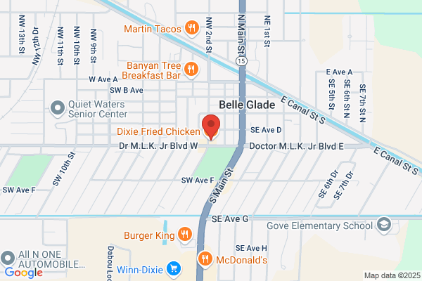 Dixie Fried Chicken