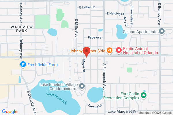 Forbes Park Realty