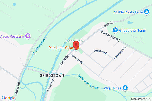 Griggstown Volunteer Fire Co