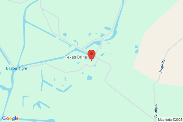 Texas Brine Company Llc