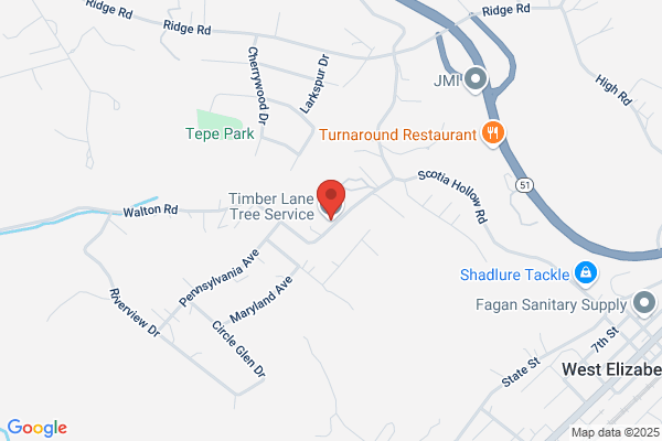 Timber Tree Service
