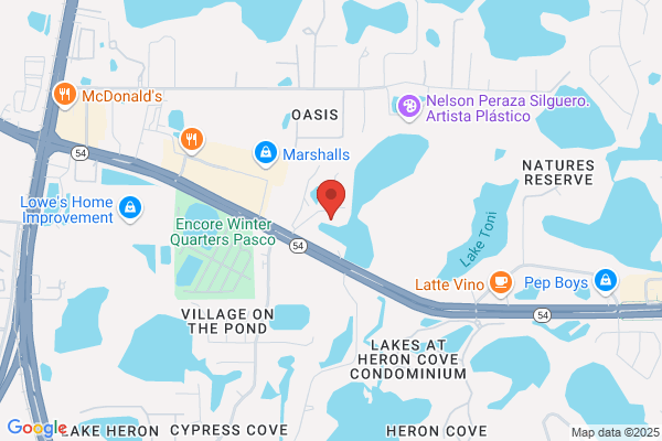 Dialysis At Sea Cruises