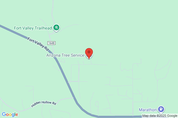 Arizona Tree Service
