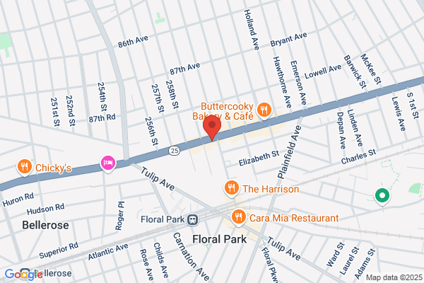 Cleopatra Gallery