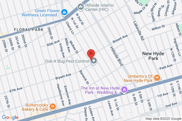 Sonora International