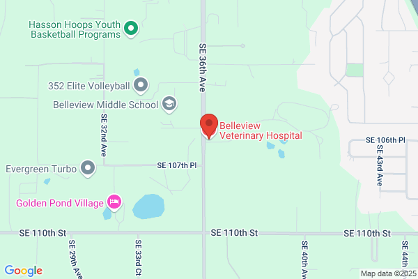 Belleview Veterinary Hospital