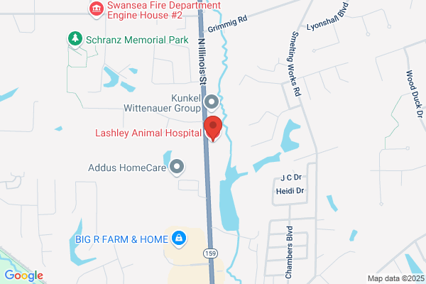 Lashley Animal Hospital