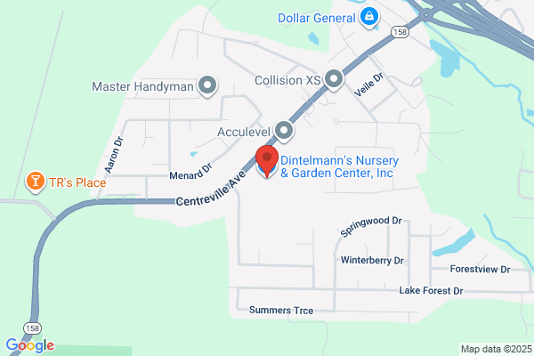 Dintelmann's Nursery & Garden Center, Inc.
