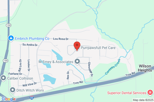 Purrrrfect Pet Sitting