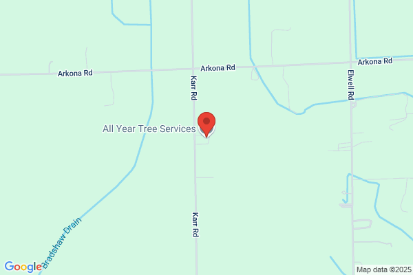 All Season Tree & Stump Removal