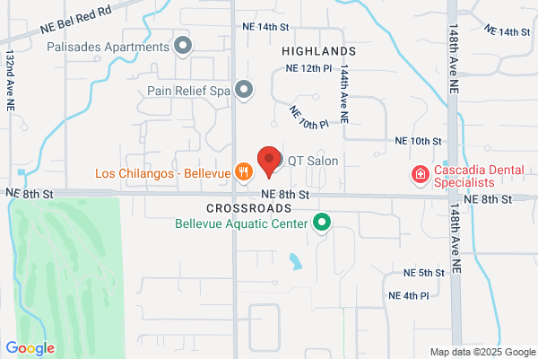 Garage Door Repair Bellevue