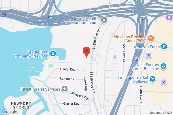 SEO Expert Bellevue