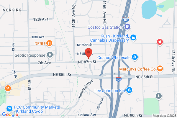 Auto Interior's of Bellevue
