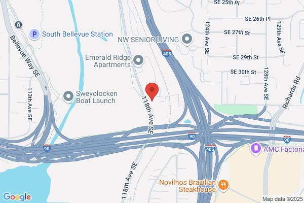 General Microsystems Inc