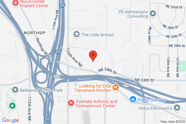 Silicon Interfaces America Inc