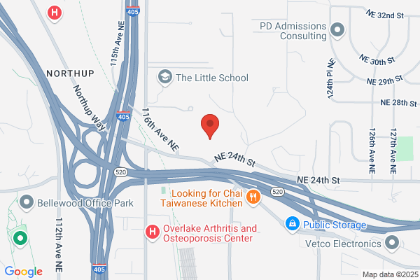 Bellevue Plastic Surgeons