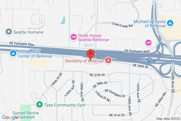Dental Professionals