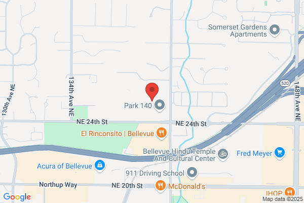Bellevue Professional Therapy