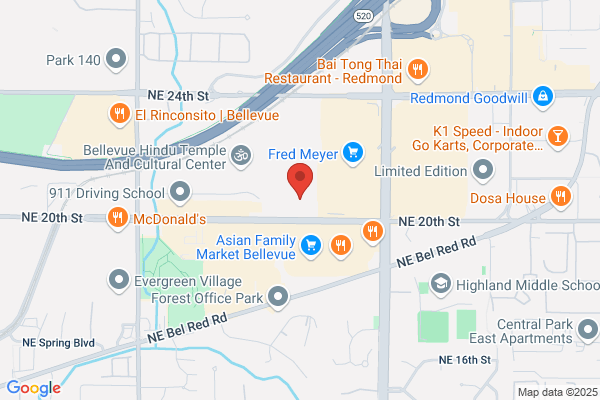 Cat & Dog Clinic of Bellevue, P.S.