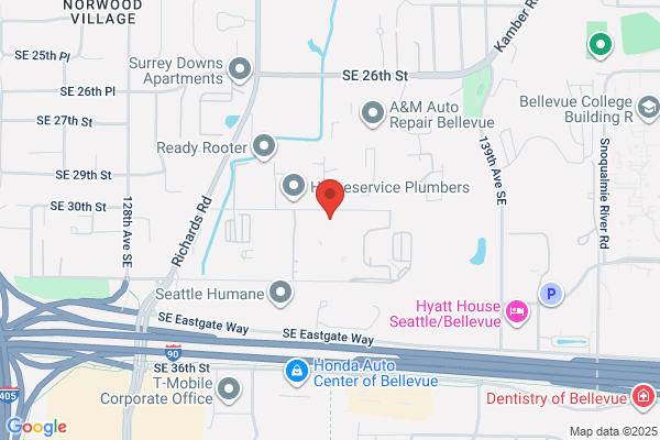 Bellevue Badminton Club