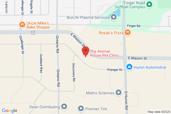 The Animal House Pet Clinic