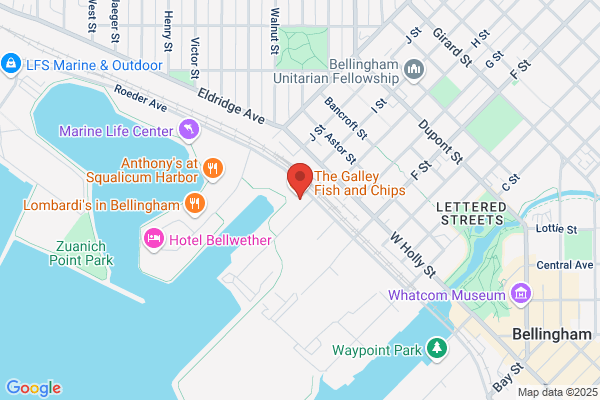 City Dogs Grooming