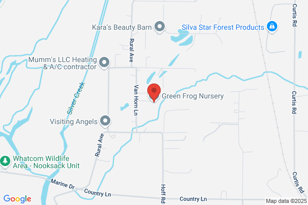 Green Frog Nursery