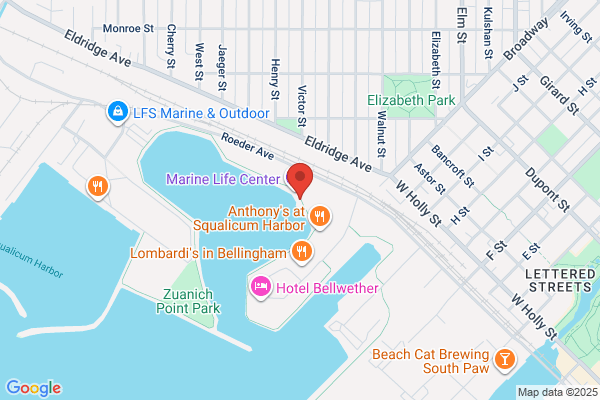 Harbor Moon Salon & Barber