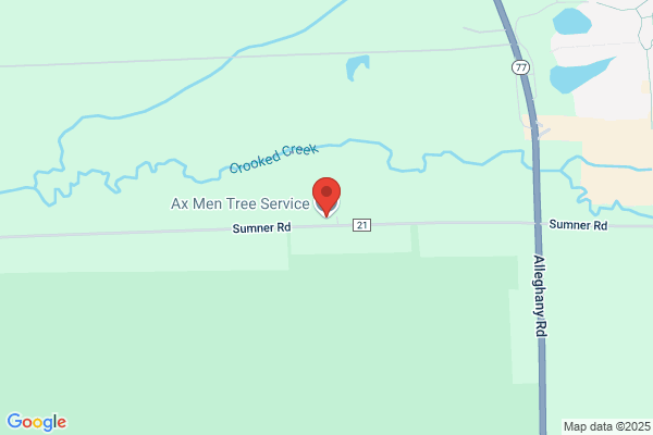 Axe Men's Tree Service LLC