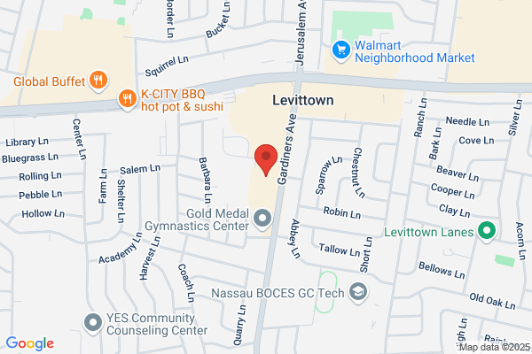 NY Physical Therapy & Wellness - Levittown