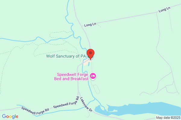 Wolf Sanctuary