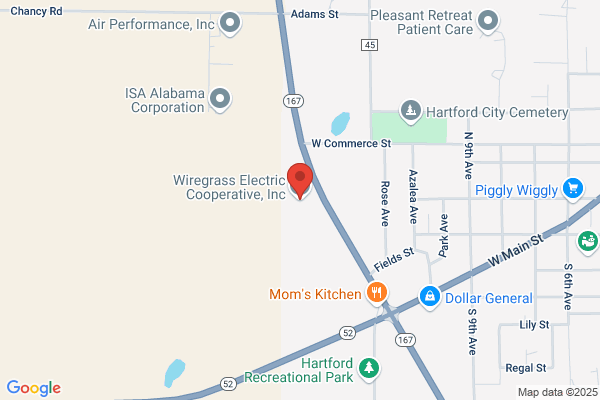Wiregrass Electric