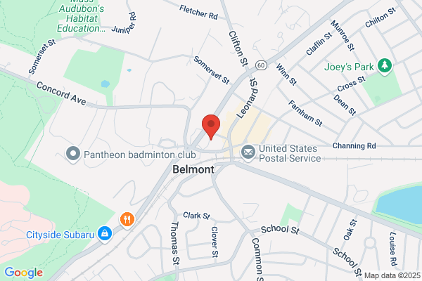 Belmont Village Gallery