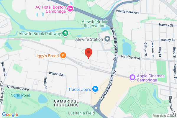 Hanover Alewife