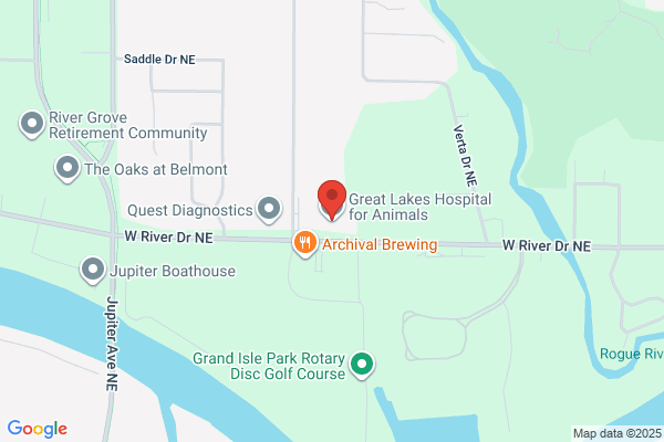 Great Lakes Pet Hospital