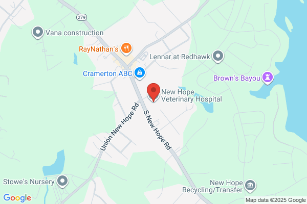 New Hope Veterinary Hospital