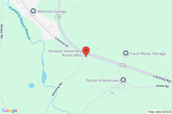 Noreast Veterinary Associates