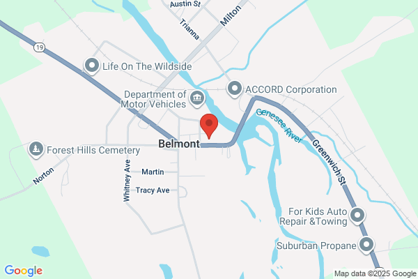 Monroe-Allegany Title Agency Inc