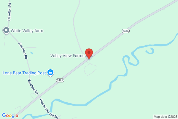 Valley View Diary