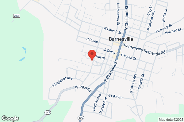 Barnesville Florist