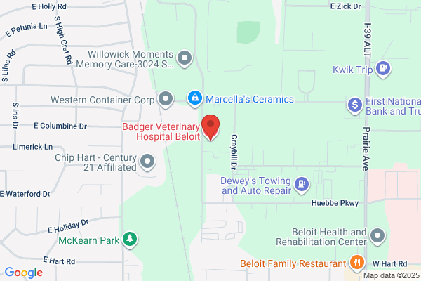 Sheryl Allen Gould - Badger Veterinary Hospital-Beloit
