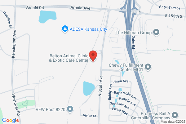 Belton Animal Clinic & Exotic Care Center