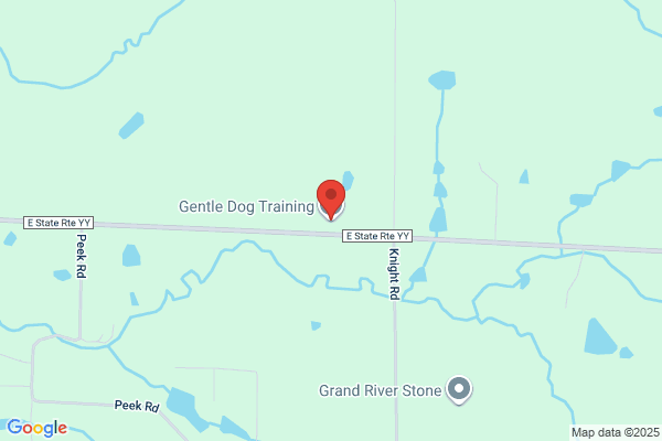 Gentle Dog Training