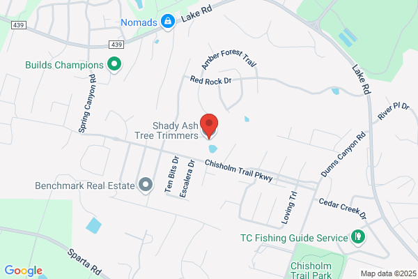Ash Tree Service