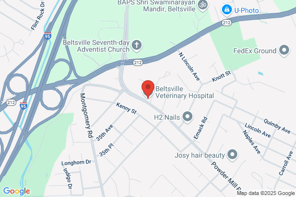 Beltsville Veterinary Hospital