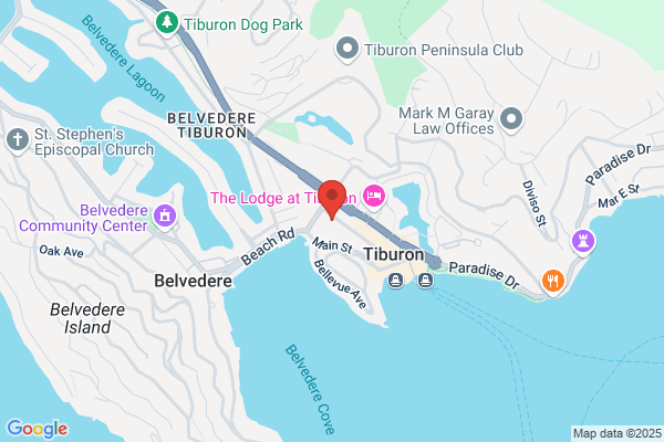 Tiburon International Film Festival