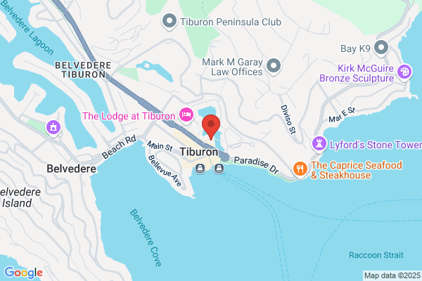 Tiburon Strategic Advisors