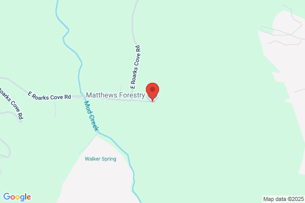 Matthews Forestry