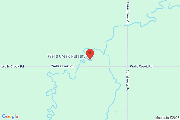 Wells Creek Nursery