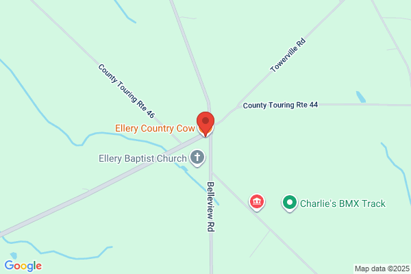 Ellery Country Cow the